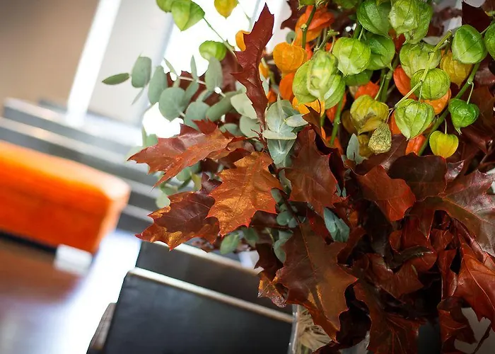 De France Βαλένς