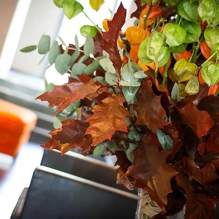 De France Valence (Drome)